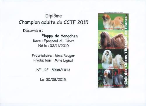 de Yangchen - FLOPPY DE YANGCHEN CHAMPION DU C.C.T.F