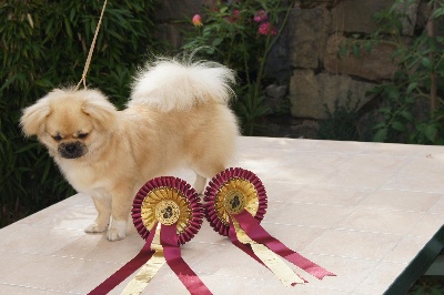 de Yangchen - CHAMPIONNAT DU MONDE 2011