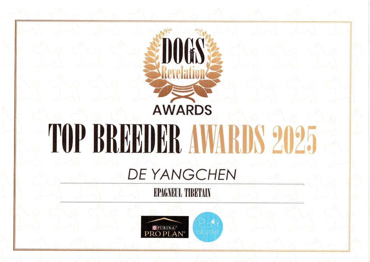 ELEVAGE DE YANGCHEN : TOP BREEDER AWARDS 2025 EPAGNEUL TIBETAIN, DOGS REVELATION