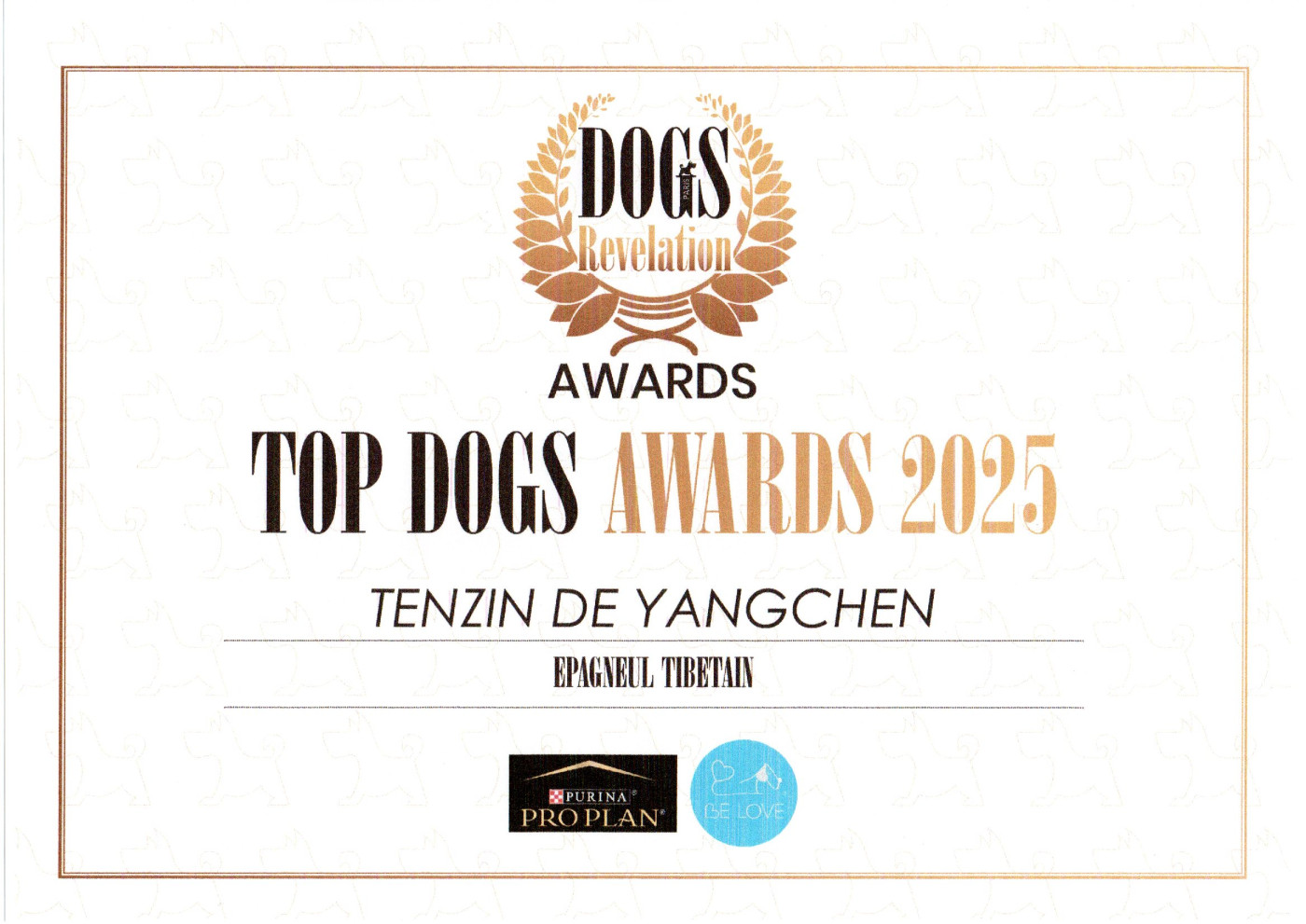 TENZIN DE YANGCHEN: TOP DOGS AWARDS 2025 EPAGNEUL TIBETAIN. BRAVO BEBE!